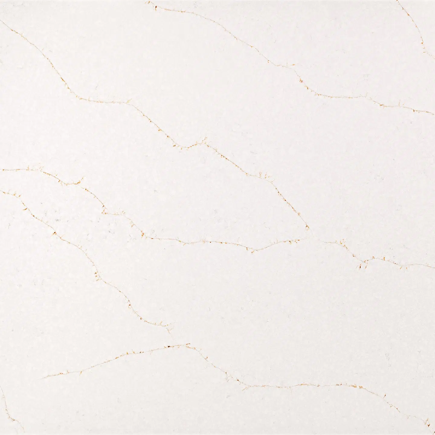 Calacatta Vivaldi Gold tezgah modeli